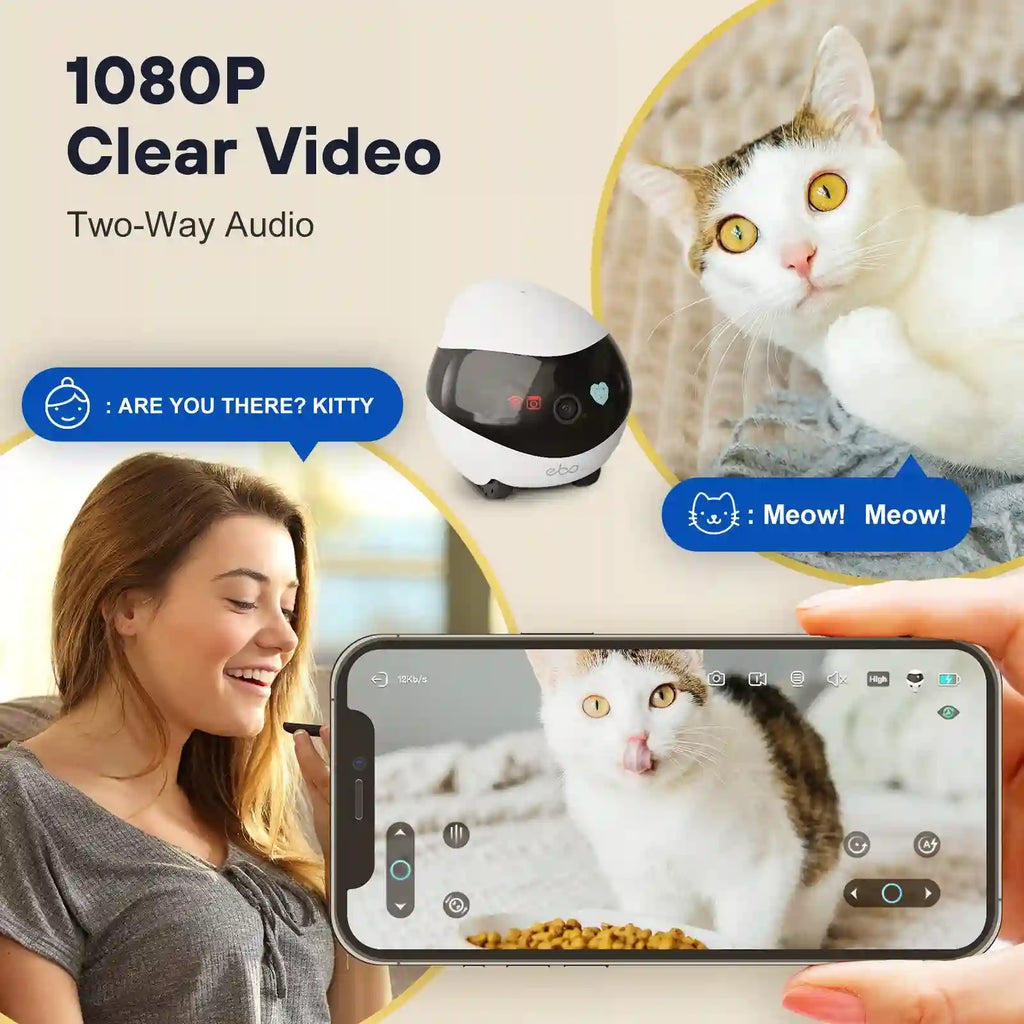 EBO moving Camera