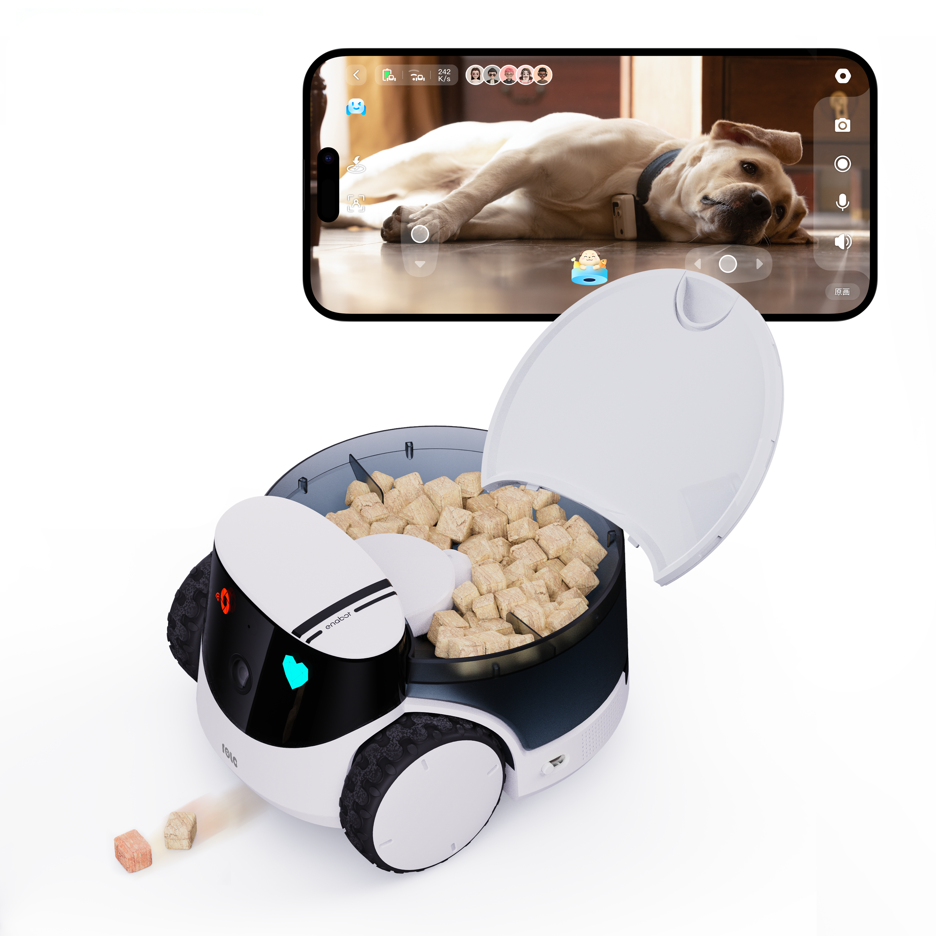 ROLA PetPal | Modular AI Pet Robot with Feeder – Enabot – Enabot Store