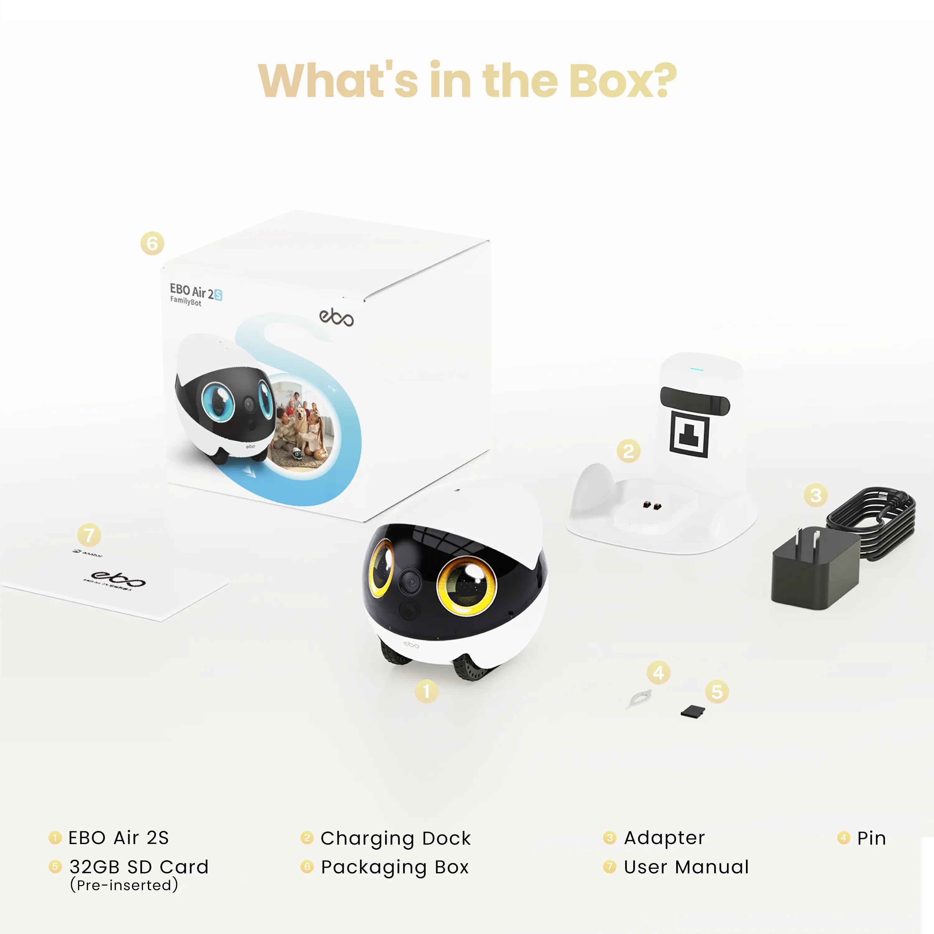 EBO Air 2S FamilyBot（Bundle）