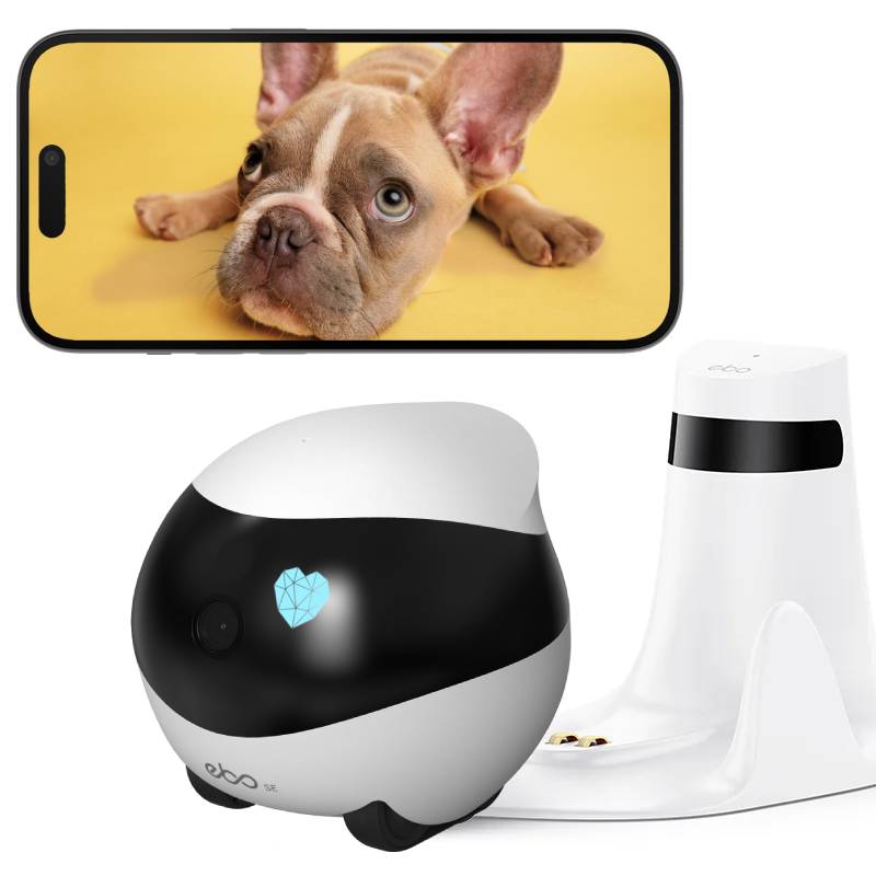 enabot EBO SE スマートカメラ EBO SE FamilyBot | Home Camera Robot with App Control – Enabot