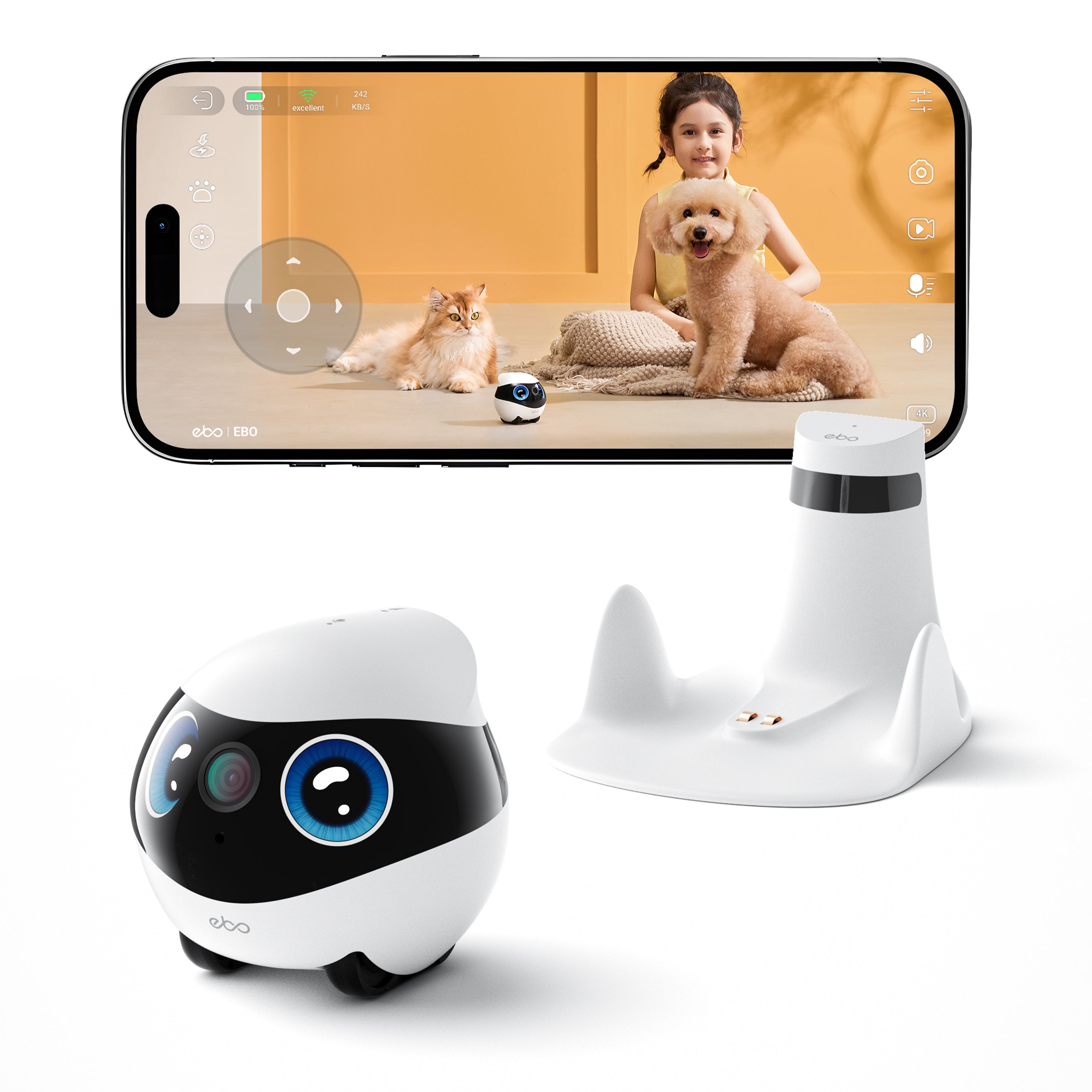 EBO Mini FamilyBot