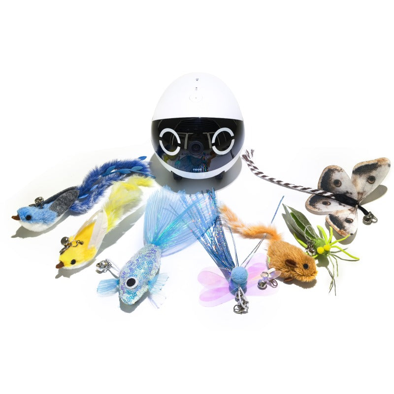 Cat Teaser Set for EBO Air 2 Plus / Air 2S / ROLA Mini