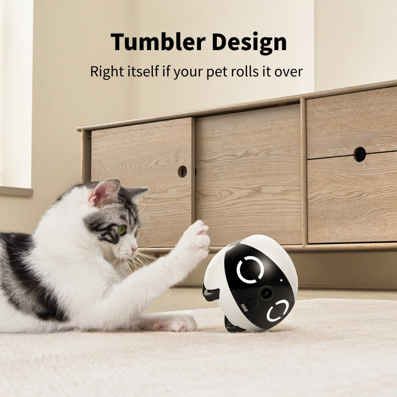 ROLA Mini FamilyBot