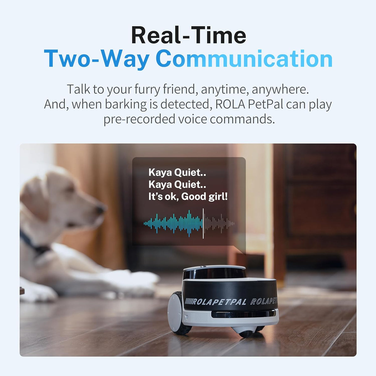 ROLA PetPal | Modular AI Pet Robot with Feeder – Enabot – Enabot Store