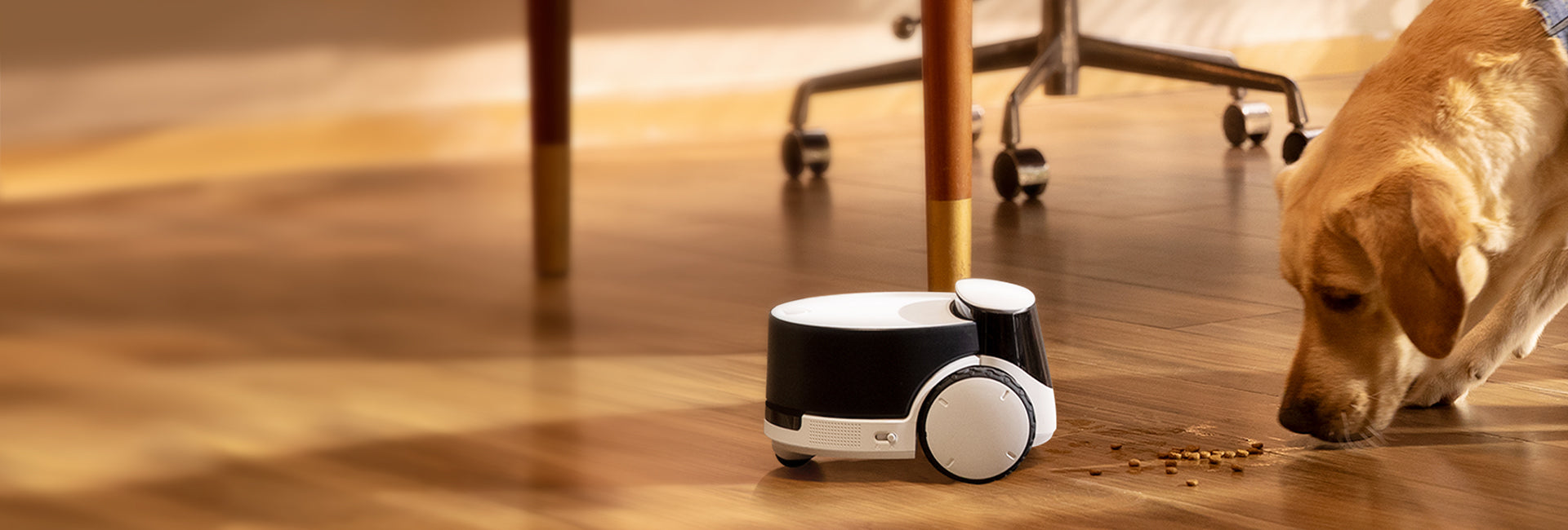 ROLA PetPal Robot Pet Companion - Toy & Treat – Enabot Store