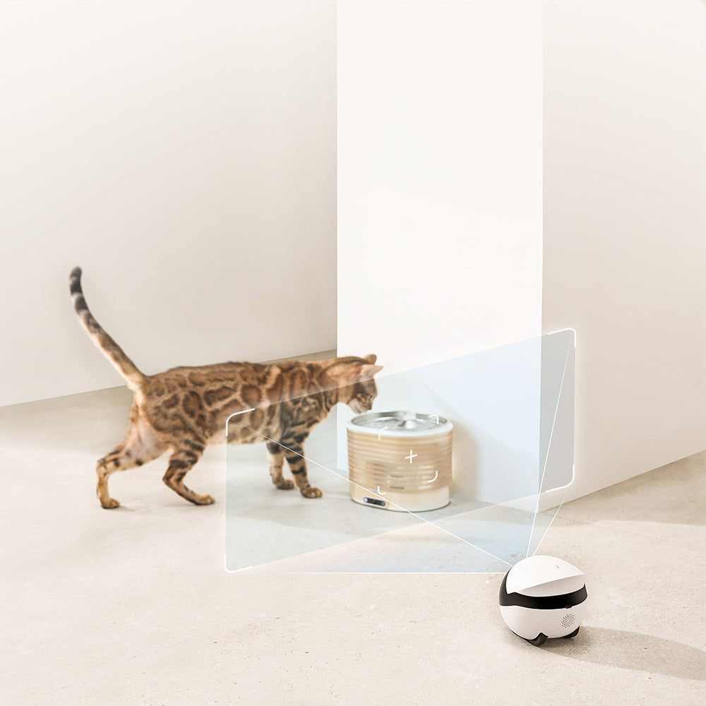 ROLA Smart Pet Water Fountain with smart connectivity to ROLA Mini for tracking and monitoring pet drinking habits.