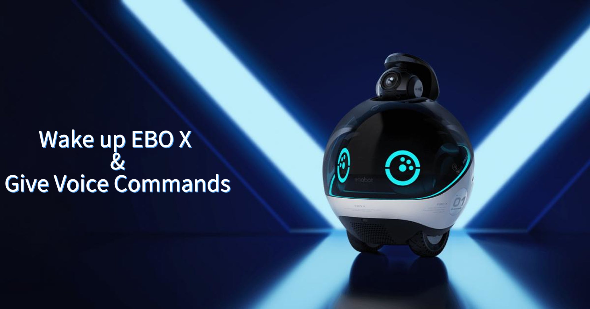 Ebo Sign Support - EBO X – Enabot Store