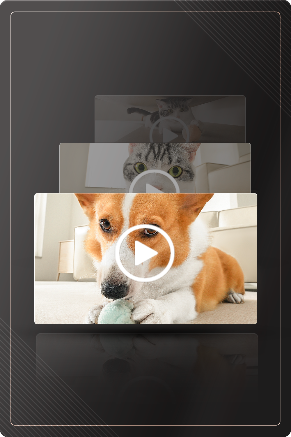 Daily Pet Vlogs feature showing 30-second highlights of cute and memorable pet moments captured over time.