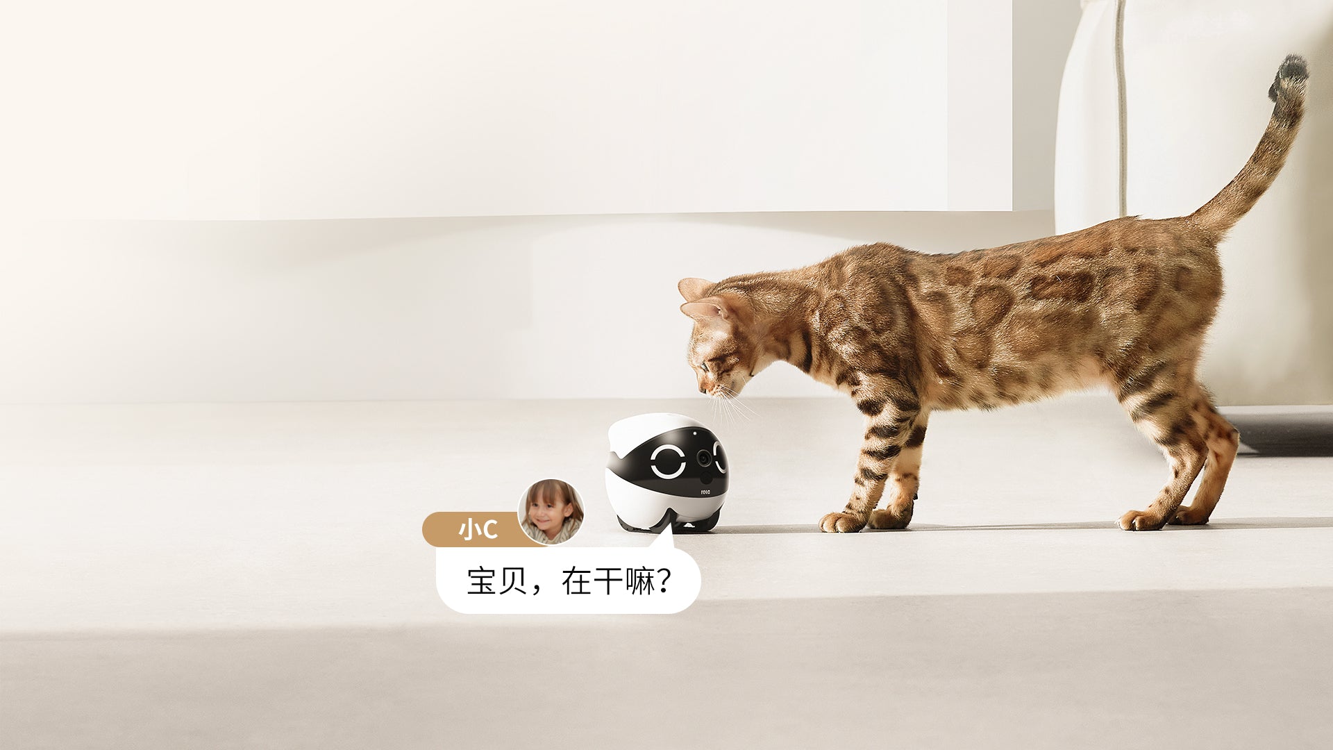 ROLA Mini automatically righting itself after being knocked over