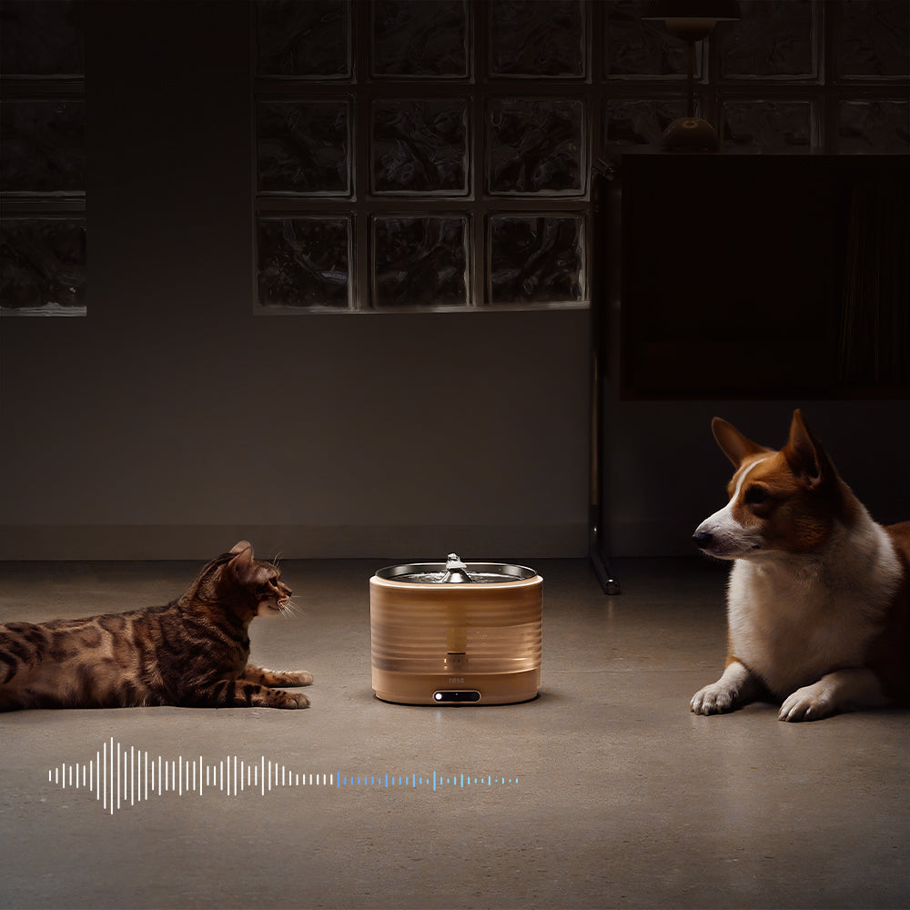 ROLA Smart Pet Water Fountain ultra-quiet circulation with low decibel water flow for pets.